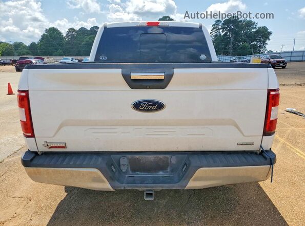 1FTEW1CP1KKC84894 2019 FORD F150 White Հետևի տեսք
