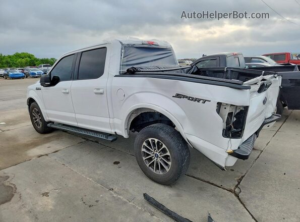 1FTEW1CP2KKD13044 2019 FORD F150 White უკანა მარცხენა