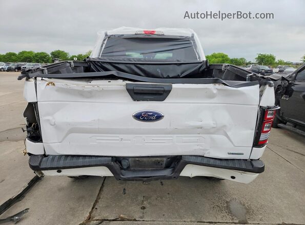 1FTEW1CP2KKD13044 2019 FORD F150 White უკანა ხედი