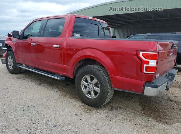 1FTEW1CP2LKD60317 2020 FORD F150 Red Trasero izquierdo