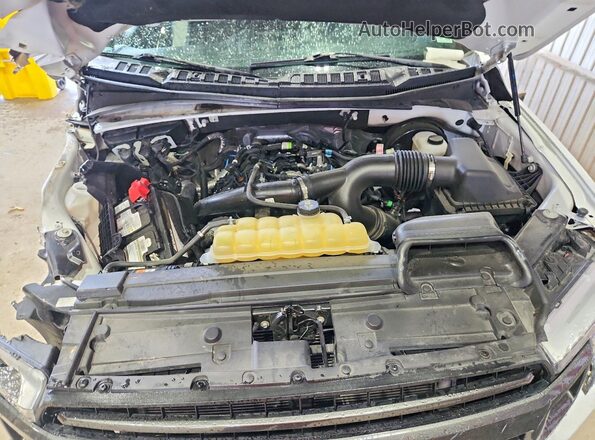 1FTEW1CP3LKD31506 2020 FORD F150 Белый Вид задней части салона