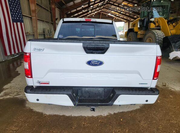 1FTEW1CP3LKD31506 2020 FORD F150 Белый Вид сзади
