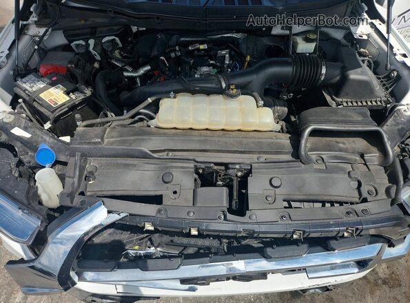 1FTEW1CP3MFA87608 2021 FORD F150 White Вид задньої частини салону
