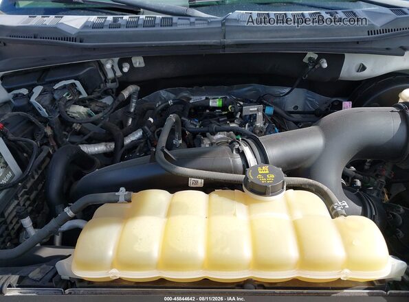 1FTEW1CP4LKD10406 2020 FORD F150 Белый Вид сзади