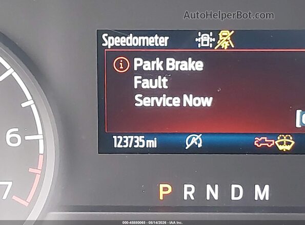 1FTEW1CP4MKE83165 2021 FORD F150 Gray Widok tylnych siedzeń