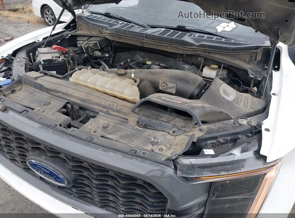 1FTEW1CP4MKE83165 2021 FORD F150 Gray Widok z tyłu