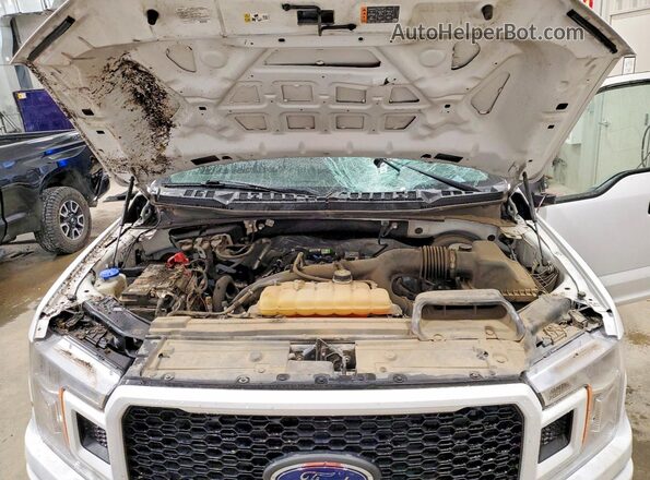 1FTEW1CP5KKC03699 2019 FORD F150 Белый Вид задней части салона
