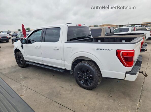 1FTEW1CP6PKD21932 2023 FORD F150 White უკანა მარცხენა