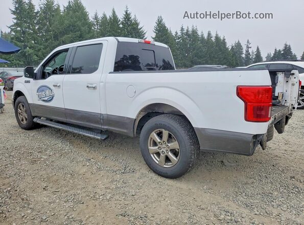 1FTEW1CP7KKC04451 2019 FORD F150 White Հետևի ձախ