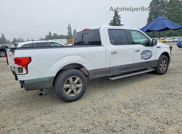 1FTEW1CP7KKC04451 2019 FORD F150 White Հետևի աջ