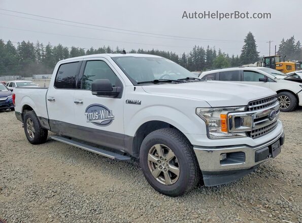 1FTEW1CP7KKC04451 2019 FORD F150 White Առջևի աջ