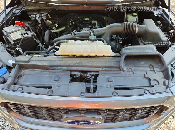 1FTEW1CP9PKD57582 2023 FORD F150 Gray Rear interior view