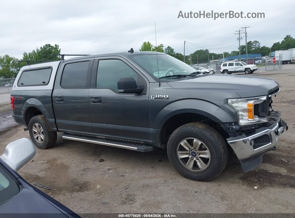 1FTEW1E40KFC10040 2019 FORD F150 Серый Вид задней части салона