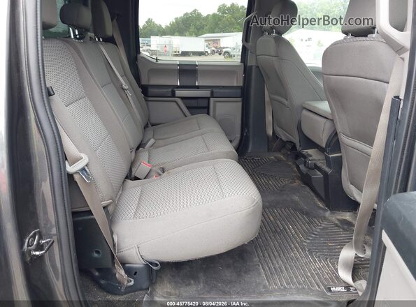 1FTEW1E40KFC10040 2019 FORD F150 Серый Вид наклейки с VIN-кодом