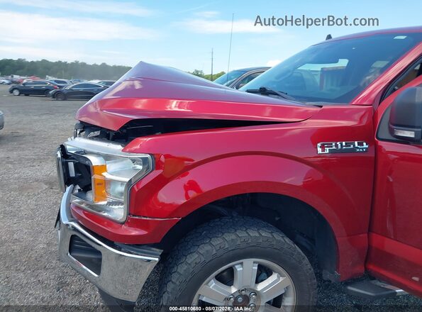 1FTEW1E40KFC61196 2019 FORD F150 Red Widok z przodu
