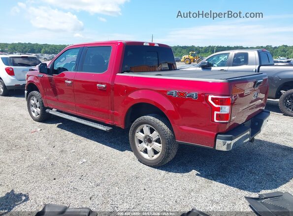 1FTEW1E40KFC61196 2019 FORD F150 Red Tył lewy