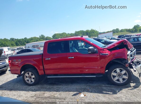1FTEW1E40KFC61196 2019 FORD F150 Red Widok wnętrza z tyłu