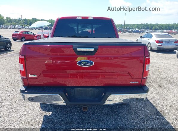 1FTEW1E40KFC61196 2019 FORD F150 Red 