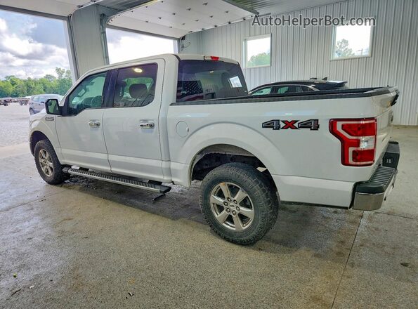 1FTEW1E43LFA58384 2020 FORD F150 White Հետևի ձախ