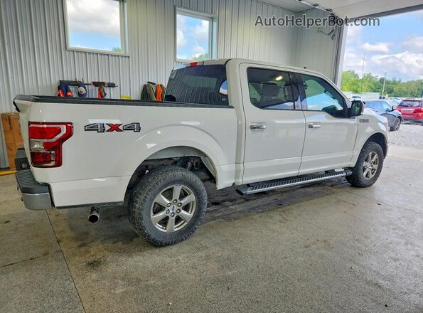 1FTEW1E43LFA58384 2020 FORD F150 White Հետևի աջ