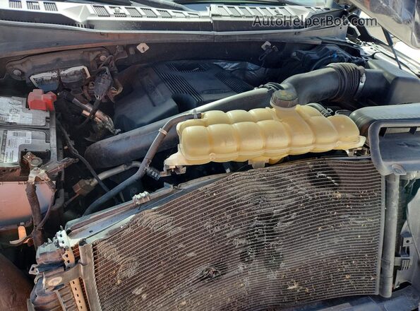 1FTEW1E45KFA86895 2019 FORD F150 Black Вид задньої частини салону