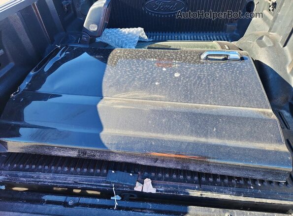 1FTEW1E45KFD51945 2019 FORD F150 Black Widok komory silnika