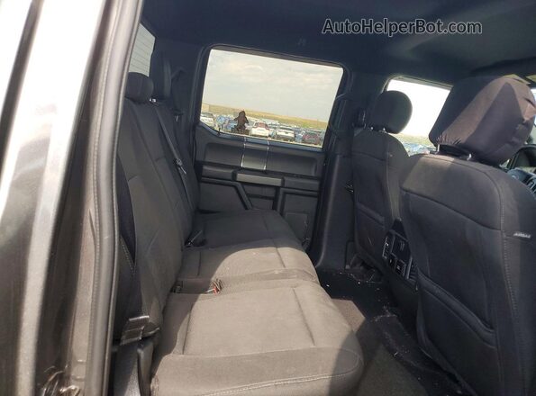 1FTEW1E45KKE49641 2019 FORD F150 Gray Rear seats view