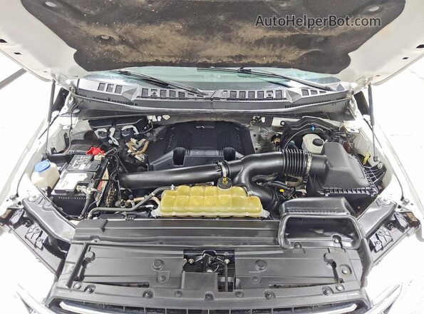 1FTEW1E45LKD76904 2020 FORD F150 Белый Вид задней части салона