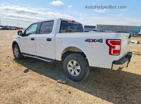 1FTEW1E46KFB05017 2019 FORD F150 White Задня ліва чверть