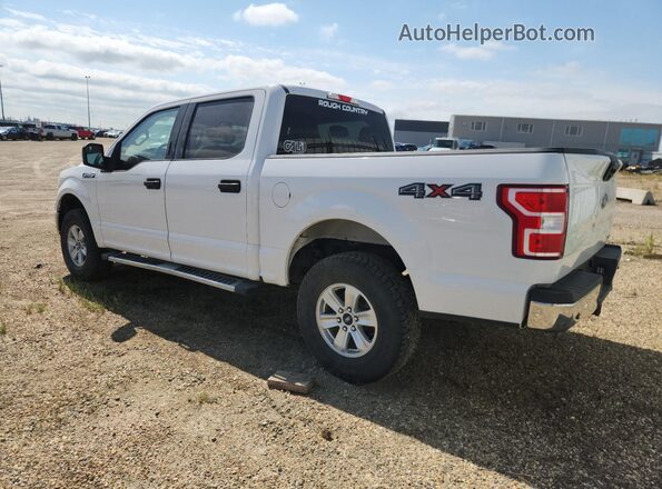 1FTEW1E46KFB05017 2019 FORD F150 White 
