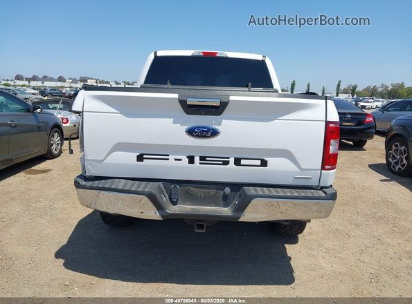 1FTEW1E46KKE50698 2019 FORD F150 Белый 