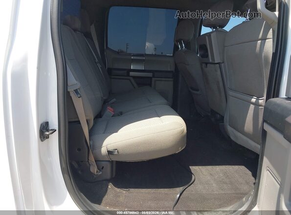 1FTEW1E46KKE50698 2019 FORD F150 Белый Вид наклейки с VIN-кодом