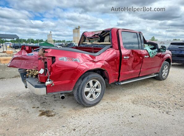 1FTEW1E46KKF11533 2019 FORD F150 Red Задня права чверть
