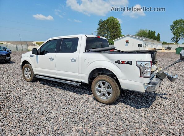 1FTEW1E47KFD12368 2019 FORD F150 White Rear left