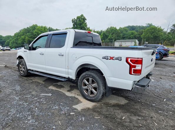 1FTEW1E47LFC79616 2020 FORD F150 White Задня ліва чверть