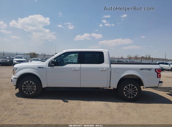 1FTEW1E48LKF17402 2020 FORD F150 White 