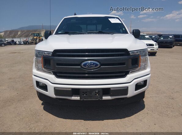 1FTEW1E48LKF17402 2020 FORD F150 White Widok wnętrza z tyłu