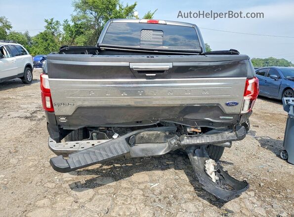 1FTEW1E49LFA77599 2020 FORD F150 Gray Widok z tyłu