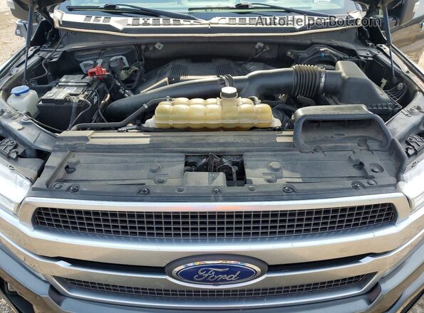 1FTEW1E49LFA77599 2020 FORD F150 Gray Widok wnętrza z tyłu