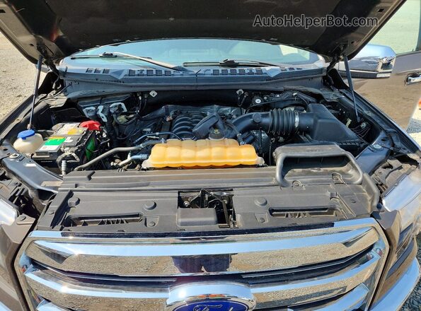 1FTEW1E51JKD10744 2018 FORD F150 Tan Rear interior view