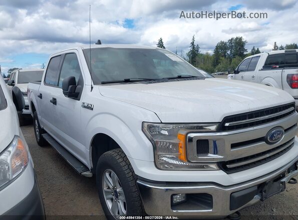 1FTEW1E51KKE39715 2019 FORD F150 White Widok wnętrza z tyłu