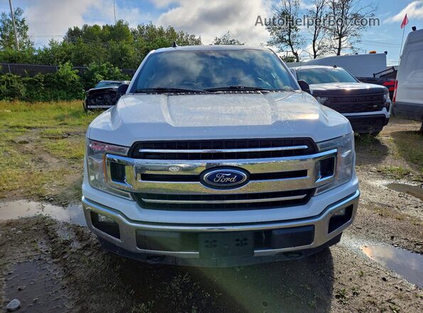 1FTEW1E53LFC68847 2020 FORD F150 Белый Вид спереди