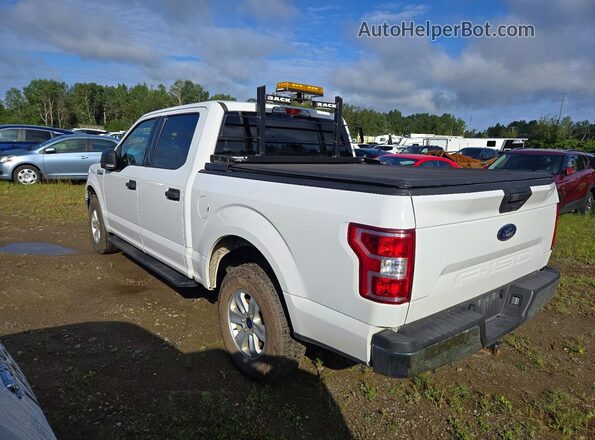 1FTEW1E53LFC68847 2020 FORD F150 Белый Задняя левая четверть