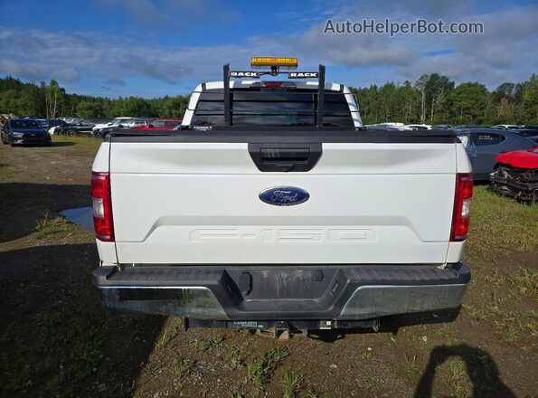 1FTEW1E53LFC68847 2020 FORD F150 Белый Вид сзади