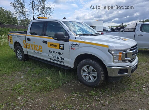 1FTEW1E53LFC68847 2020 FORD F150 Белый 