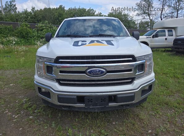 1FTEW1E53LFC68847 2020 FORD F150 Белый Панорамный вид салона 360°