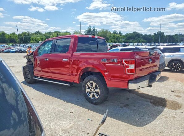 1FTEW1E55LFC03062 2020 FORD F150 Red Rear left