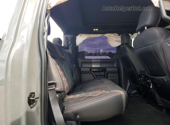 1FTEW1E59KKC61813 2019 FORD F150 Gray უკანა სავარძლების ხედი