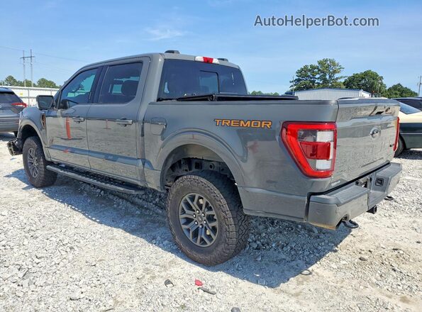 1FTEW1E81MFC98179 2021 FORD F150 Gray Trasero izquierdo