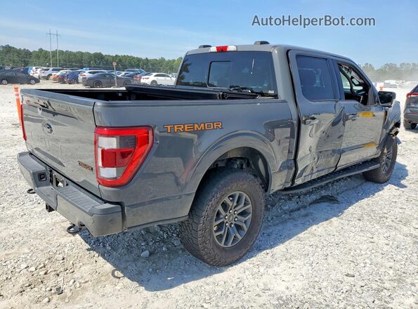 1FTEW1E81MFC98179 2021 FORD F150 Gray Trasero derecho